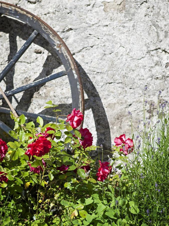 Visby Logi & Vandrarhem Ngoại thất bức ảnh